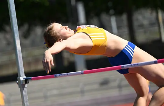 Erika Wärff F 4,0 5328